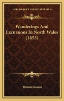 Wanderings and Excursions in North Wales 1018141030 Book Cover