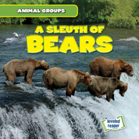 A Sleuth of Bears 1538263572 Book Cover