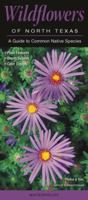 Wildflowers of North Texas: A Guide to Common Native Species 0982885652 Book Cover