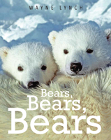 Bears, Bears, Bears 1554556139 Book Cover