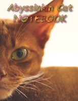 Abyssinian Cat NOTEBOOK: Notebooks and Journals 110 pages (8.5x11) 1651155364 Book Cover