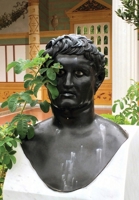 Cellybrain 1087905648 Book Cover