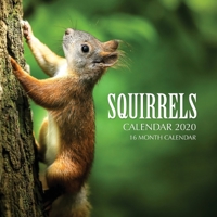 Squirrels Calendar 2020: 16 Month Calendar 1692681591 Book Cover