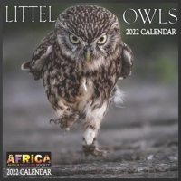 Little Owls CALENDAR 2022: 12 Month Mini Calendar from Jan 2022 to Dec 2022, Cute Gift Idea | Pictures in Every Month B096TRTNCY Book Cover