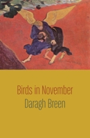 Birds in November 1848618581 Book Cover