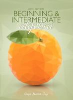 Beginning & Intermediate Algebra 053682908X Book Cover