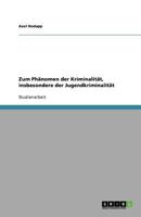 Zum Phänomen der Kriminalität, insbesondere der Jugendkriminalität 3638749053 Book Cover