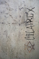 Cicatrix B0DVZN7F84 Book Cover