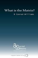 What is the Matrix?: Jean Baudrillard and Simulation in the Wachowski Brothers' Matrix Series 1466455349 Book Cover