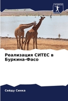 Реализация СИТЕС в Буркина-Фасо 6205936852 Book Cover