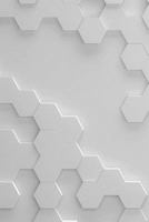 Hexagon Composition Book 1717024971 Book Cover