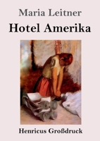 Hotel Amerika (Großdruck) (German Edition) 3847856456 Book Cover