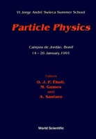 Particle Physics - VI Jorge Andre Swieca Summer School 9810210388 Book Cover
