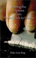 Setting the Captives Free: From Crack to Praise 140338066X Book Cover