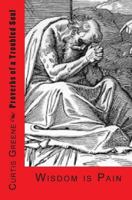 Proverbs of a Troubled Soul: Wisdom Is Pain 0615881033 Book Cover
