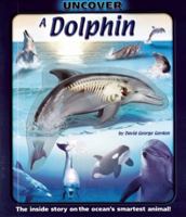 Uncover a Dolphin (Uncover Books) 1592238793 Book Cover