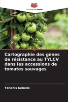 Cartographie des gènes de résistance au TYLCV dans les accessions de tomates sauvages 6207146182 Book Cover