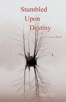 Stumbled Upon Destiny 9380349882 Book Cover