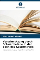 Verschmutzung durch Schwermetalle in den Seen des Kaschmirtals: Wasserverschmutzung in den Seen von Kaschmir (German Edition) 6207596234 Book Cover