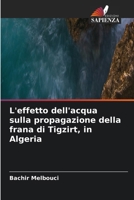 L'effetto dell'acqua sulla propagazione della frana di Tigzirt, in Algeria (Italian Edition) 6630228928 Book Cover