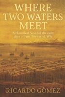 Where Two Waters Meet: A Historical novel of the early days of Port Townsend, WA B0FG1SGMYZ Book Cover