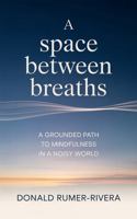 A Space Between Breaths: A Grounded Path to Mindfulness in a Noisy World B0GW78ZVS8 Book Cover