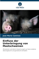 Einfluss der Unterbringung von Mastschweinen 6205370786 Book Cover