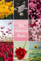 My Address Book: Flowers Cover Address Book for Names, Addresses, Phone Numbers, E-mails and Birthdays 167618757X Book Cover