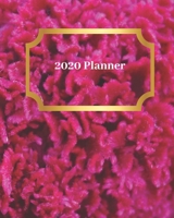 2020 Planner: Weekly and Monthly Planner Calendar Jan 1, 2020 to Dec 31, 2020: Monthly Goals Sheet 1654399329 Book Cover