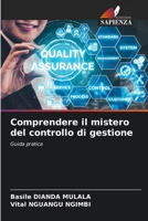 Comprendere il mistero del controllo di gestione: Guida pratica 620637100X Book Cover