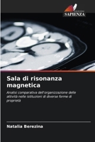 Sala di risonanza magnetica: Analisi comparativa dell'organizzazione delle attività nelle istituzioni di diverse forme di proprietà (Italian Edition) 6203592722 Book Cover