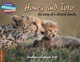 Honey and Toto: The Story of a Cheetah Family 1 Pathfinders 1108436153 Book Cover