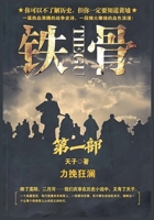 铁骨：第一部 108822878X Book Cover