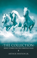 The Collection - Short Stories for the Christian Walk B0CS912WCZ Book Cover