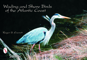 Wading & Shore Bird Postcards 0764324470 Book Cover