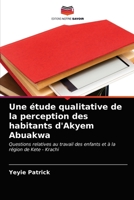 Une �tude qualitative de la perception des habitants d'Akyem Abuakwa 6203173177 Book Cover