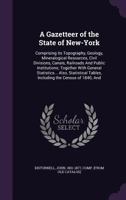 A Gazetteer of the State of New York ... Second edition, with additions and corrections. 1362251917 Book Cover