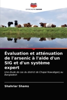 Évaluation et atténuation de l'arsenic à l'aide d'un SIG et d'un système expert 6202827742 Book Cover