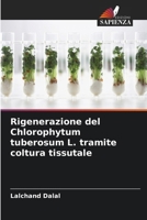 Rigenerazione del Chlorophytum tuberosum L. tramite coltura tissutale (Italian Edition) 6209862950 Book Cover