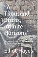 “A Thousand Bricks, Infinite Horizons”: “A story of survival and transformation for those without a voice” B0DSPS7G6Q Book Cover