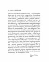 A Little Ramble: In the Spirit of Robert Walser 0811220990 Book Cover