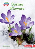 Spring Flowers 1541573455 Book Cover