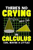 There's No Crying In Calculus (OK, Maybe A Little): There's No Crying In Calculus (Ok, Maybe a Little) Math Pun Blank Composition Notebook for Journaling & Writing (120 Lined Pages, 6" x 9") 1711108235 Book Cover