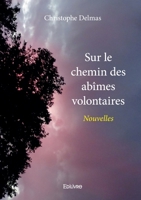 Sur le chemin des abîmes volontaires (French Edition) 233413709X Book Cover