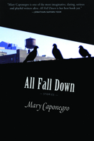 All Fall Down 1566892260 Book Cover