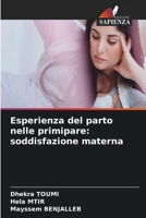 Esperienza del parto nelle primipare: soddisfazione materna (Italian Edition) 6630384717 Book Cover