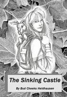 The Sinking Castle 0615488560 Book Cover