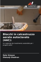 Blocchi in calcestruzzo aerato autoclavato (AAC) (Italian Edition) 6203135410 Book Cover