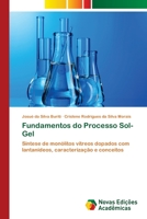 Fundamentos do Processo Sol-Gel 6202037466 Book Cover
