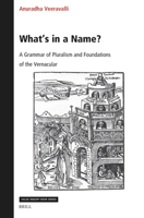 What's in a Name? a Grammar of Pluralism and Foundations of the Vernacular (Value Inquiry Book) 9004739122 Book Cover